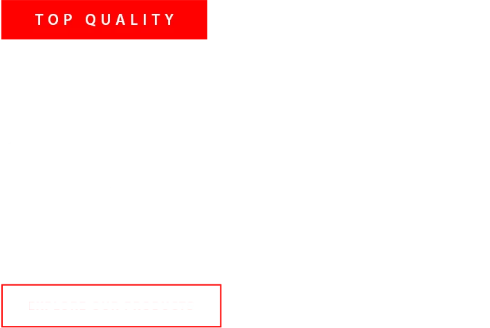 Fight Gear Text