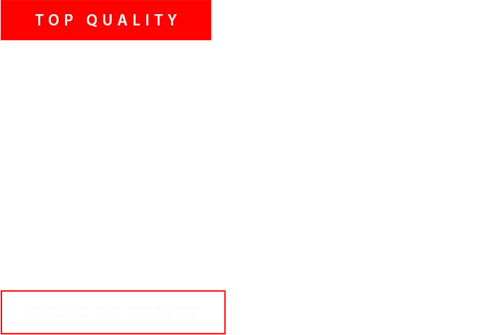 Fitness Text