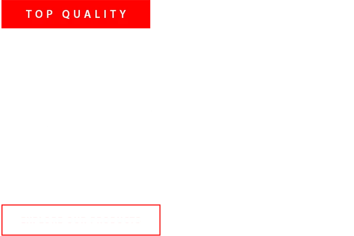 Sports Balls Text